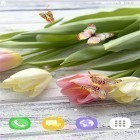 Neben Live Wallpapern für Android Elektrisches Mandala kannst du die apk des Hintergrunds Tulpen  gratis herunterladen.