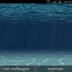 Neben Live Wallpapern für Android Tiger: Schüttel und verändere kannst du die apk des Hintergrunds Unterwasser  gratis herunterladen.