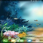 Neben Live Wallpapern für Android Durgas Magie und der Tempel kannst du die apk des Hintergrunds Unterwasserwelt  gratis herunterladen.