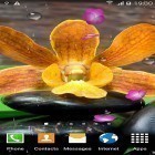 Neben Live Wallpapern für Android Gartenblumen  kannst du die apk des Hintergrunds Zen Garten  gratis herunterladen.