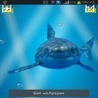 Neben Live Wallpapern für Android Stacheliger Blutiger Königswolf  kannst du die apk des Hintergrunds Wütender Hai: Zersprungenes Display gratis herunterladen.