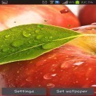 Neben Live Wallpapern für Android Weihnachtsbaum  kannst du die apk des Hintergrunds Apfel gratis herunterladen.