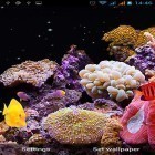 Neben Live Wallpapern für Android Winternatur kannst du die apk des Hintergrunds Aquarium gratis herunterladen.