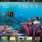 Lade Aquarium von Cowboys für Android und andere kostenlose Fly ERA Nano 7 IQ4407 Live Wallpaper herunter.