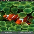 Neben Live Wallpapern für Android Leuchtturm 3D  kannst du die apk des Hintergrunds Aquarium gratis herunterladen.