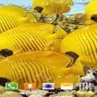 Neben Live Wallpapern für Android Bambus-Haus 3D  kannst du die apk des Hintergrunds Aquarium gratis herunterladen.