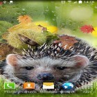 Neben Live Wallpapern für Android Jade Natur HD kannst du die apk des Hintergrunds Herbst gratis herunterladen.
