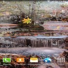 Neben Live Wallpapern für Android Wetter  kannst du die apk des Hintergrunds Herbstlandschaft gratis herunterladen.