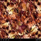 Neben Live Wallpapern für Android  kannst du die apk des Hintergrunds Herbstblätter 3D gratis herunterladen.