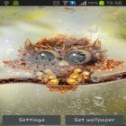 Neben Live Wallpapern für Android Wassertropfen  kannst du die apk des Hintergrunds Herbstliche kleine Eule gratis herunterladen.