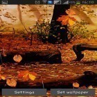 Neben Live Wallpapern für Android Mondlicht kannst du die apk des Hintergrunds Herbstregen gratis herunterladen.