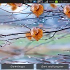 Neben Live Wallpapern für Android Wolken HD 5  kannst du die apk des Hintergrunds Herbstliche Regentropfen gratis herunterladen.