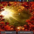 Neben Live Wallpapern für Android Dunkle Nacht kannst du die apk des Hintergrunds Herbstsonne gratis herunterladen.