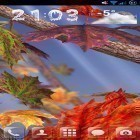 Lade Herbst Baum für Android und andere kostenlose Nokia Asha 501 Live Wallpaper herunter.