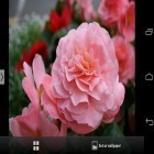 Neben Live Wallpapern für Android Süßer Welpe 3D  kannst du die apk des Hintergrunds Schöne Blumen gratis herunterladen.