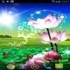 Neben Live Wallpapern für Android Phönix  kannst du die apk des Hintergrunds Schöner Lotus gratis herunterladen.