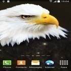 Neben Live Wallpapern für Android Knuddeliger Pinguin kannst du die apk des Hintergrunds Vögel gratis herunterladen.
