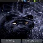 Neben Live Wallpapern für Android Gelee und Süßigkeiten kannst du die apk des Hintergrunds Schwarzer Panther gratis herunterladen.