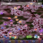 Neben Live Wallpapern für Android Delphin-Geräusche kannst du die apk des Hintergrunds Blumen gratis herunterladen.
