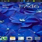 Neben Live Wallpapern für Android Süße Romantik  kannst du die apk des Hintergrunds Blaue Blumen gratis herunterladen.