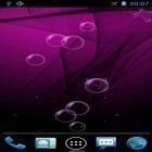 Lade Bubble Live Wallpaper für Android und andere kostenlose HTC Desire HD Live Wallpaper herunter.