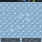 Neben Live Wallpapern für Android Liebevoller Delphin kannst du die apk des Hintergrunds Bubble Wrap gratis herunterladen.
