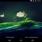 Neben Live Wallpapern für Android Rissiger Bildschirm kannst du die apk des Hintergrunds Kaktusblüte gratis herunterladen.