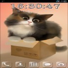 Neben Live Wallpapern für Android Zen Garten  kannst du die apk des Hintergrunds Katze in der Schachtel gratis herunterladen.