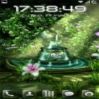 Neben Live Wallpapern für Android Blauer Delphin  kannst du die apk des Hintergrunds Keltischer Garten HD gratis herunterladen.