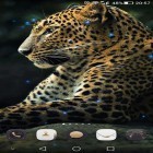Neben Live Wallpapern für Android Traumfänger  kannst du die apk des Hintergrunds Gepard gratis herunterladen.