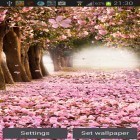 Neben Live Wallpapern für Android Sumpf Wasser kannst du die apk des Hintergrunds Kirschblüten gratis herunterladen.