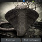 Neben Live Wallpapern für Android Wolken HD 5  kannst du die apk des Hintergrunds Kobra gratis herunterladen.