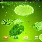 Neben Live Wallpapern für Android Sonniger Wald  kannst du die apk des Hintergrunds Cocktails und Drinks gratis herunterladen.