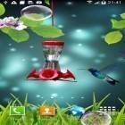 Neben Live Wallpapern für Android Gewitter 3D  kannst du die apk des Hintergrunds Kolibri gratis herunterladen.