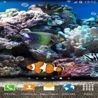 Neben Live Wallpapern für Android Elektrisches Mandala kannst du die apk des Hintergrunds Korallen und Fische 3D gratis herunterladen.