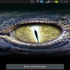 Neben Live Wallpapern für Android Schnee: Nacht kannst du die apk des Hintergrunds Krokodilaugen gratis herunterladen.