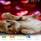 Neben Live Wallpapern für Android 1031 Blumen  kannst du die apk des Hintergrunds Niedliche Tiere gratis herunterladen.