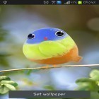 Neben Live Wallpapern für Android Fidget Spinner  kannst du die apk des Hintergrunds Süßer Vogel gratis herunterladen.