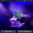 Neben Live Wallpapern für Android Musik Visualisator  kannst du die apk des Hintergrunds Süßer Schmetterling gratis herunterladen.