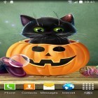 Neben Live Wallpapern für Android Neugierige Katze  kannst du die apk des Hintergrunds Sußes Halloween gratis herunterladen.
