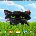 Neben Live Wallpapern für Android Herbst  kannst du die apk des Hintergrunds Sußes Kätzchen gratis herunterladen.