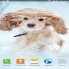 Lade Süßer Winter für Android und andere kostenlose Nokia 108 Live Wallpaper herunter.