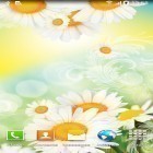 Neben Live Wallpapern für Android Bildschirmsperre kannst du die apk des Hintergrunds Gänseblümchen gratis herunterladen.