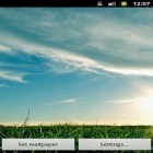 Neben Live Wallpapern für Android Stalkerkatze kannst du die apk des Hintergrunds TagNacht gratis herunterladen.
