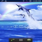 Neben Live Wallpapern für Android Wasser Galaxy  kannst du die apk des Hintergrunds Der blaue Delfin gratis herunterladen.