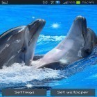 Neben Live Wallpapern für Android Tulpen  kannst du die apk des Hintergrunds Delphine gratis herunterladen.