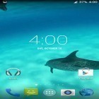 Neben Live Wallpapern für Android Glitzer  kannst du die apk des Hintergrunds Delphine HD gratis herunterladen.