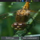 Neben Live Wallpapern für Android See kannst du die apk des Hintergrunds Libelle gratis herunterladen.