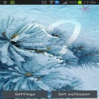 Neben Live Wallpapern für Android Schmetterling: Natur kannst du die apk des Hintergrunds Zeichne auf dem gefrorenen Bildschirm gratis herunterladen.