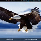 Neben Live Wallpapern für Android Dinosaurier kannst du die apk des Hintergrunds Adler gratis herunterladen.